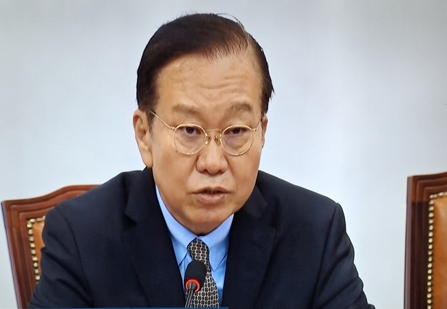 권영세 국민의 힘 비상대책위원장